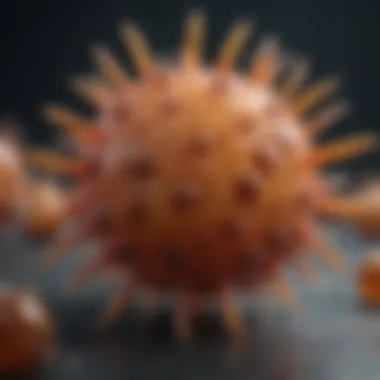 Magnificent Adenovirus Type 5 Vector: Implications and Applications