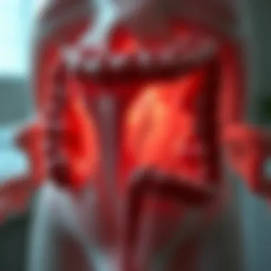 Magnificent An In-Depth Examination of Herniated Colon: Diagnosis, Treatment, and Implications