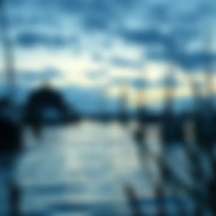 Magnificent Chesapeake Bay Management: A Comprehensive Exploration
