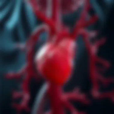 Magnificent Estenosis Aortica: An In-Depth Exploration