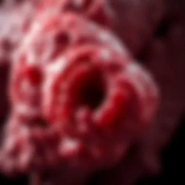 Magnificent Histiocytic Sarcoma in Humans: A Comprehensive Examination