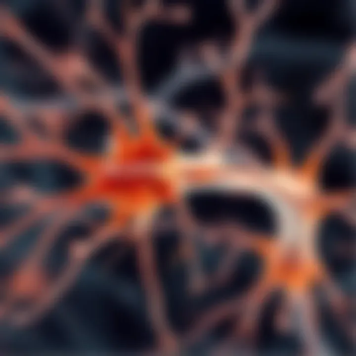 Magnificent Human Dorsal Root Ganglion Neurons: Insights into Structure and Function