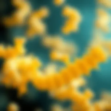 Magnificent Lactobacillus Acidophilus: Implications and Applications in Modern Science Magnificent Lactobacillus Acidophilus: Implications and Applications in Modern Science