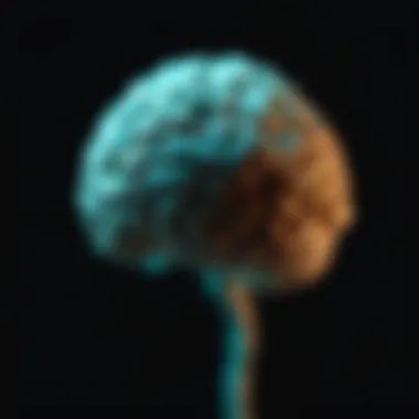Magnificent Pineocytoma: A Comprehensive Analysis of a Rare Central Nervous System Tumor