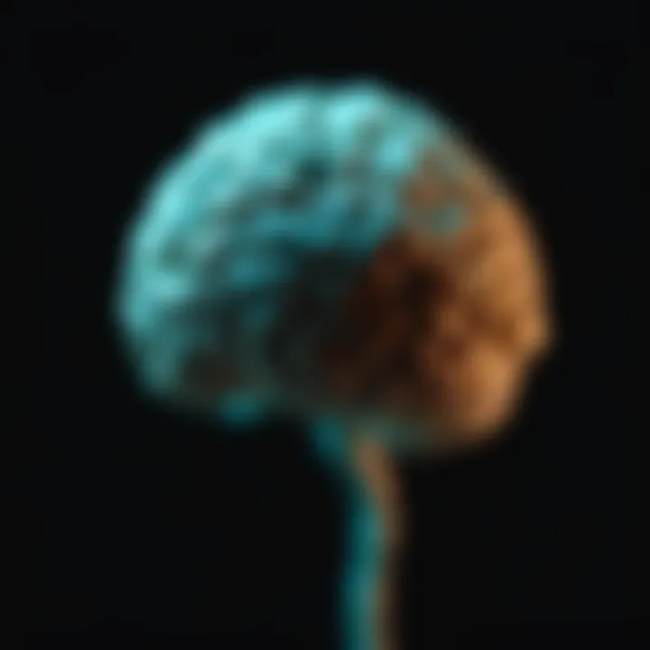 Magnificent Pineocytoma: A Comprehensive Analysis of a Rare Central Nervous System Tumor