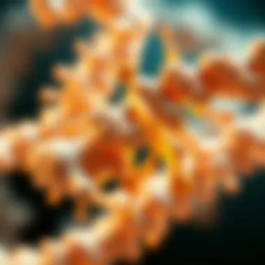 Magnificent Understanding Immunoglobulin G in Medical Terms