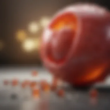 Magnificent Understanding Vitamin B12: Its Role and Importance Magnificent Understanding Vitamin B12: Its Role and Importance