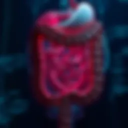 An In-Depth Examination of Herniated Colon: Diagnosis, Treatment, and Implications Introduction