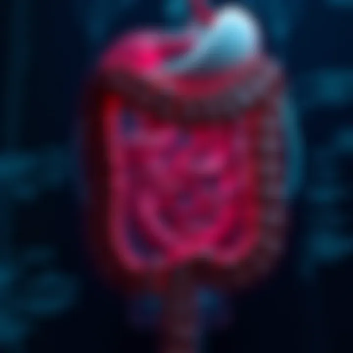An In-Depth Examination of Herniated Colon: Diagnosis, Treatment, and Implications Introduction
