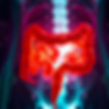 An In-Depth Examination of Herniated Colon: Diagnosis, Treatment, and Implications Summary