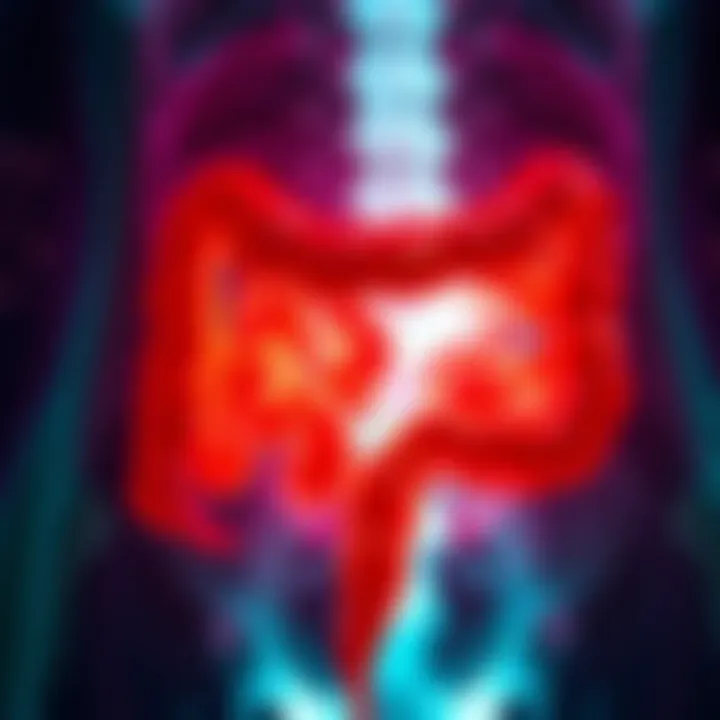 An In-Depth Examination of Herniated Colon: Diagnosis, Treatment, and Implications Summary