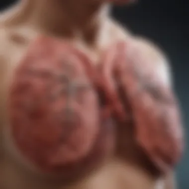 Risk Factors for Lung Cancer Chart illustrating risk factors associated with lung cancer