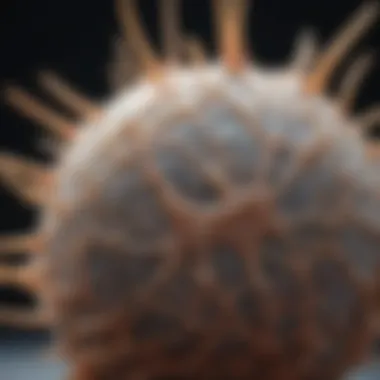 Recent Advancements in Mesophase Pitch Research Recent advancements in mesophase pitch research