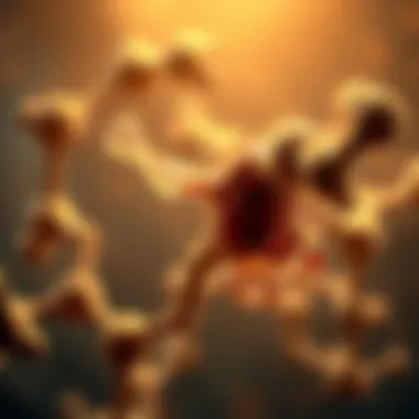 Diagram illustrating biochemical mechanisms of aromatase