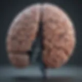 A brain with highlighted areas affected by atypical depressive disorder.