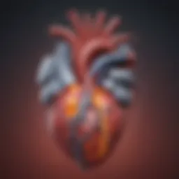 An illustrative diagram of the heart's electrical conduction system highlighting the AV node.