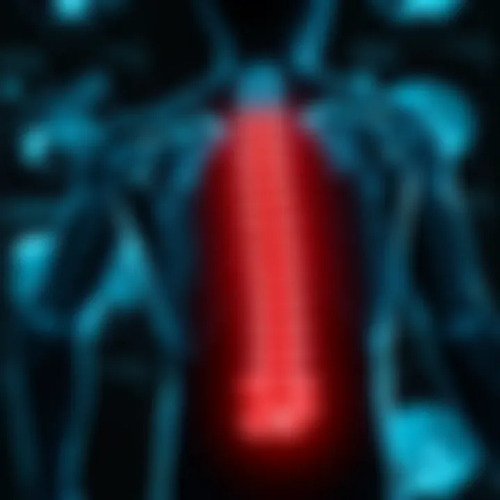 Imaging Techniques for Back Pain Evaluation Visual representation of commonly used imaging techniques in evaluating back pain.