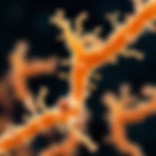 Close-up of Bifidobacterium longum bacterial culture