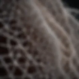 Close-up view of biodegradable mesh material used in surgical applications