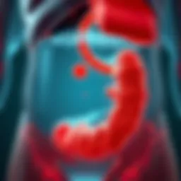 Illustration of fluid accumulation in the abdominal cavity due to cancer