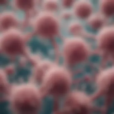 Illustration showing Candida cells under a microscope