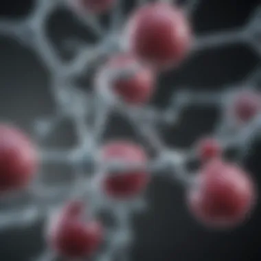 Molecular structure of caprylic acid