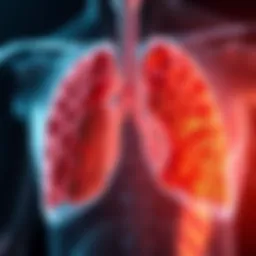 Illustration of pleural plaques formation mechanisms