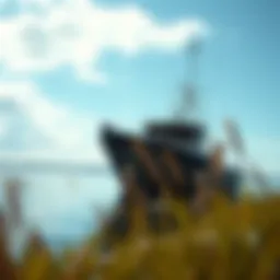 Chesapeake Bay Management: A Comprehensive Exploration Introduction