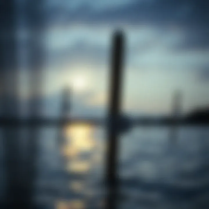 Notable Chesapeake Bay Management: A Comprehensive Exploration