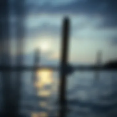 Notable Chesapeake Bay Management: A Comprehensive Exploration Notable Chesapeake Bay Management: A Comprehensive Exploration