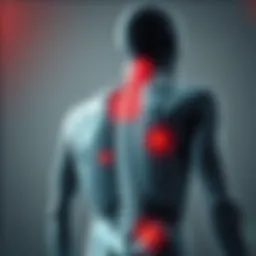 Detailed diagram illustrating the various anatomical structures involved in chronic back pain.