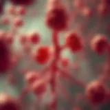 Pathophysiological mechanisms of CML