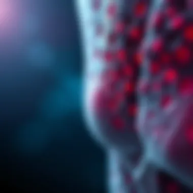 Diagram illustrating the pathophysiology of discoid lupus erythematosus, highlighting immune response and skin involvement.