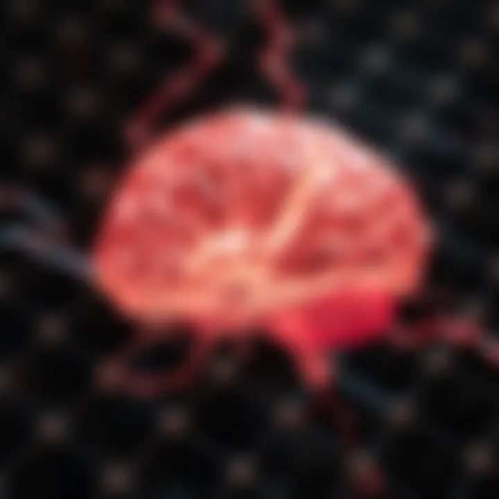 Visual representation of neuroplasticity and its role in cognitive development