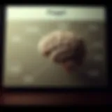 Piaget's Cognitive Development Stages Graphical representation of Piaget's stages of cognitive development