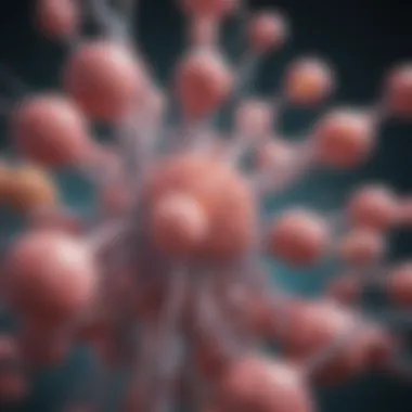 Chemotherapy Mechanisms in Cancer Treatment Diagram illustrating chemotherapy mechanisms in cancer treatment