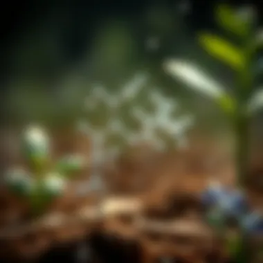 Agricultural Uses of Ethylene Diamine Agricultural uses of ethylene diamine