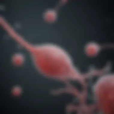 Understanding Abnormal Sperm Morphology Microscopic view of abnormal sperm morphology