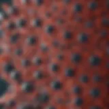 Sepharose beads under a microscope showcasing their unique structure