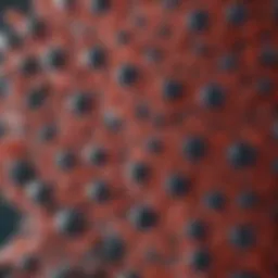 Sepharose beads under a microscope showcasing their unique structure