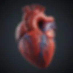 Illustration of the heart and blood vessels showing various cardiovascular diseases