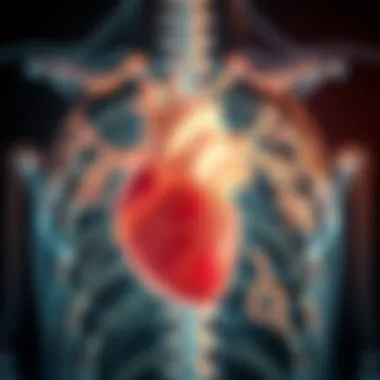 Mechanisms Driving Coronary Calcification Diagram illustrating the mechanisms behind coronary calcification