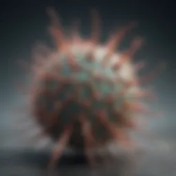 Diagram showcasing the dengue virus structure