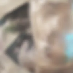 Detailed engagement with skin care ingredients