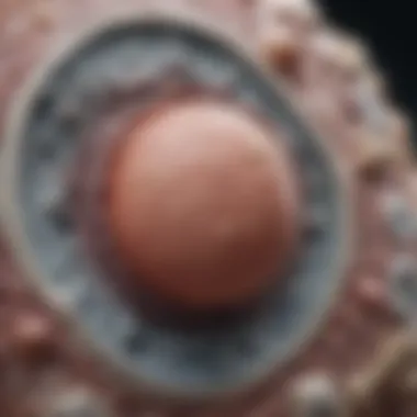 Diagnostic Criteria for Noncalcified Nodules Diagnostic criteria for noncalcified nodules