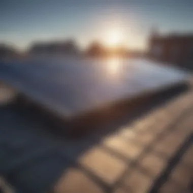 Solar panels absorbing sunlight on a residential rooftop