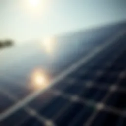 Solar panels harnessing sunlight for energy