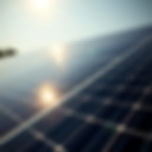 Solar panels harnessing sunlight for energy