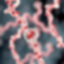 DNA Extraction from Fixed Tissue: Techniques, Challenges, and Applications Introduction