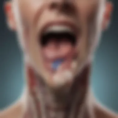 Anatomy of the Throat and Its Role in Swallowing Diagram illustrating the anatomy of the throat involved in swallowing